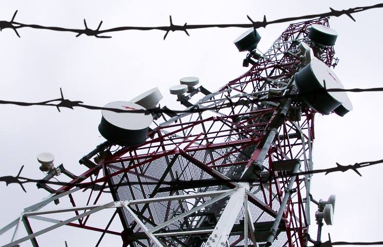 Tender for frequencies should be suspended