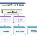 organigramafdm
