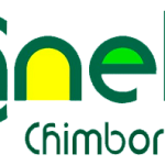Canela chimborazo