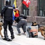 49af4814-6c0e-4044-893b-7d4f68ed0bd3