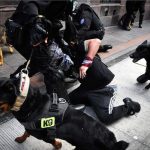 a76a52a2-4115-4cab-b241-19638093bfde