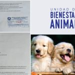 eee2347f-ccbf-4aae-81f6-44fac09d032b