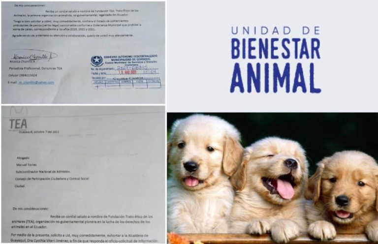 Municipio de Guayaquil no entrega información sobre manejo de fauna urbana 