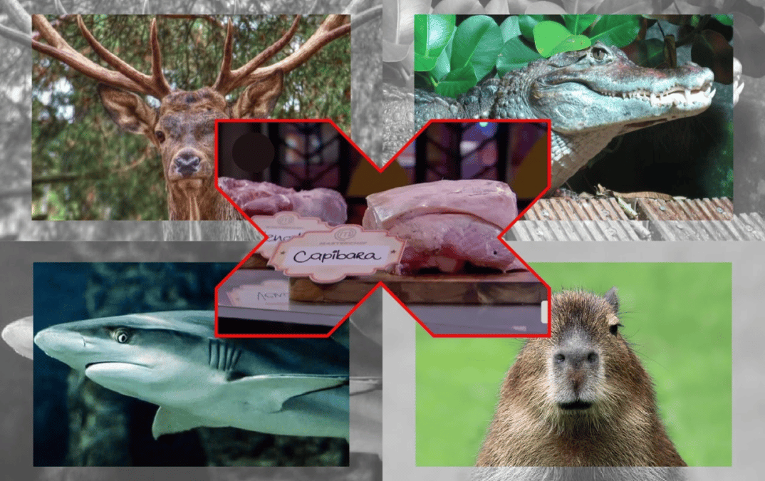 Organizaciones de defensa animal interponen denuncia  contra Teleamazonas por un programa de Máster Chef