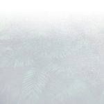 FondoCumbre