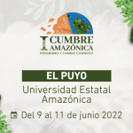 cumbre boletin3