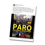 PARONOTAFALSA