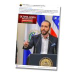 bukele falsosalvador